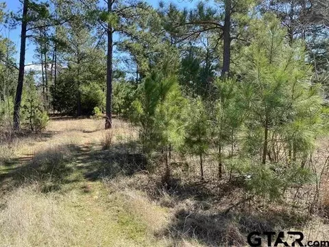 tbd Cr 1507- 1254 Acres, Jacksonville, TX 75766