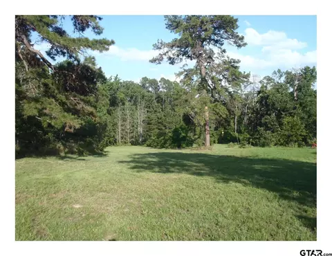 tbd Pr 8573, Winnsboro, TX 75494