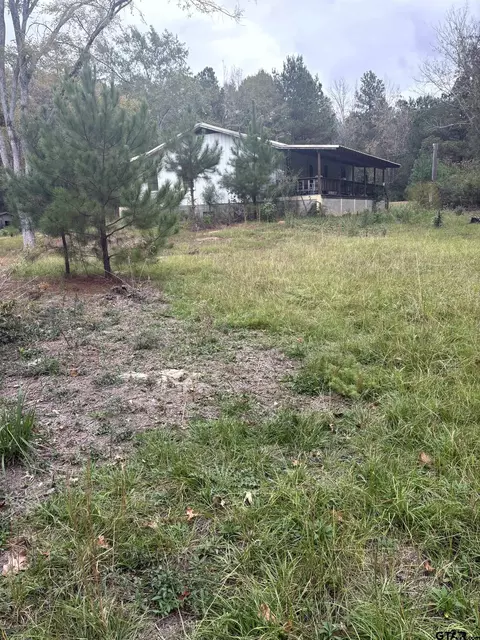 2919 County Road 102 W, Overton, TX 75684