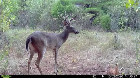 000 County Road 1206, Rusk, TX 75785