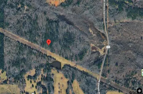 24519 C R 244, Overton, TX 75684