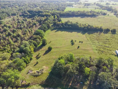 1937 Vz County Road 4511, Ben Wheeler, TX 75754