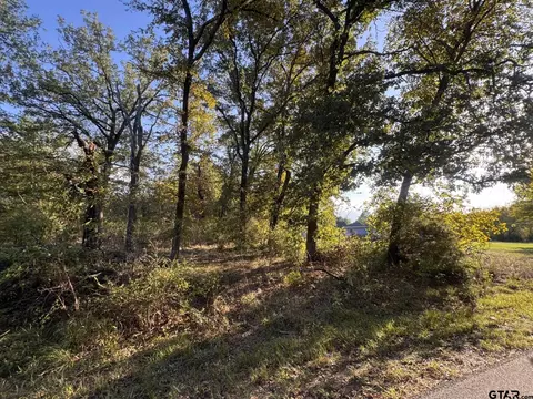 1159 Bora Bora St, Tool, TX 75143 photo 2
