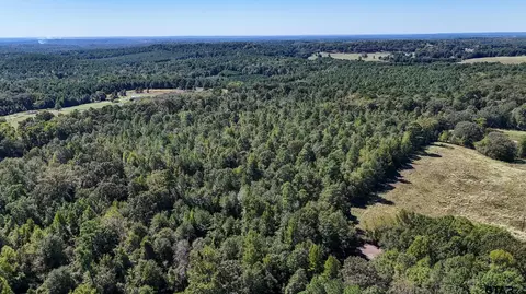 tbd Peach Road Unit #1, Gilmer, TX 75644 photo 18