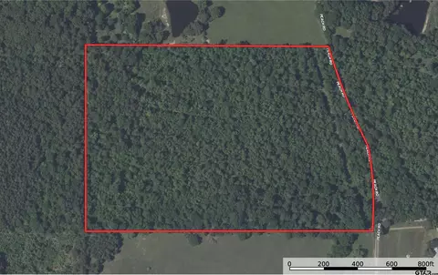tbd Peach Road Unit #1, Gilmer, TX 75644 photo 2