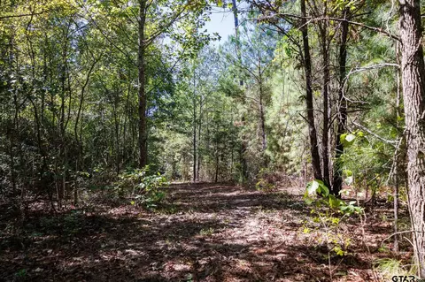 tbd Peach Road Unit #1, Gilmer, TX 75644 photo 13