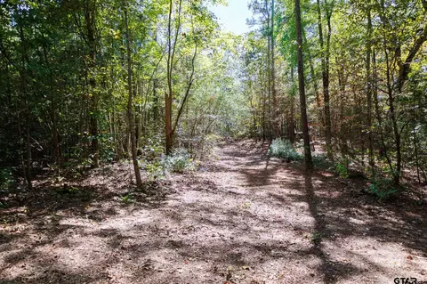 tbd Peach Road Unit #1, Gilmer, TX 75644 photo 12