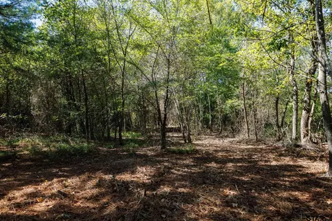 tbd Peach Road Unit #1, Gilmer, TX 75644 photo 3