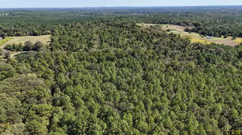 tbd Peach Road Unit #1, Gilmer, TX 75644 photo 21