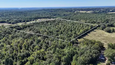 tbd Peach Road Unit #1, Gilmer, TX 75644 photo 20