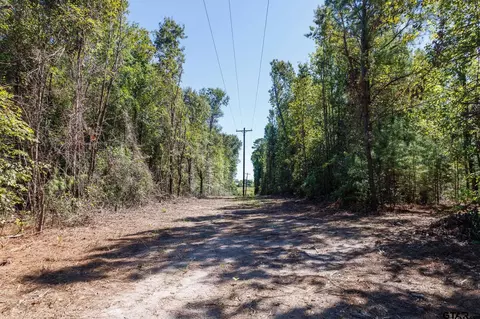 tbd Peach Road Unit #1, Gilmer, TX 75644 photo 15