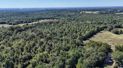 tbd Peach Road Unit #1, Gilmer, TX 75644 photo 19