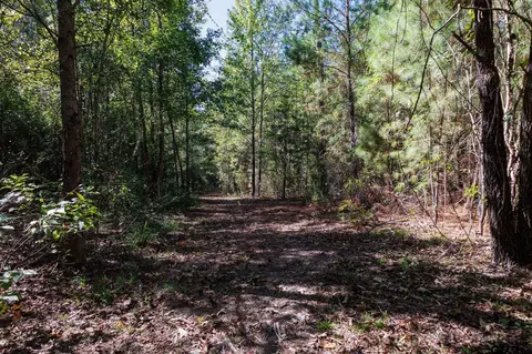 tbd Peach Road Unit #1, Gilmer, TX 75644 photo 14