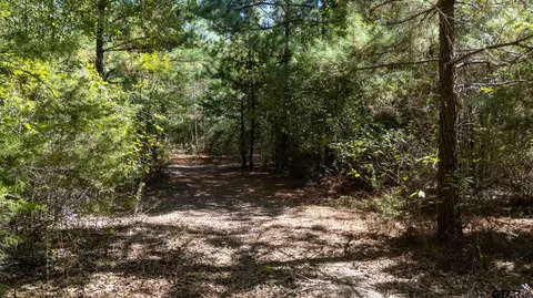 tbd Peach Road Unit #1, Gilmer, TX 75644 photo 25