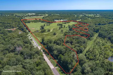 tbd Fm 2088, Winnsboro, TX 75494