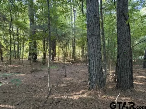 000 Loop Loop 343, Rusk, TX 75785 photo 34