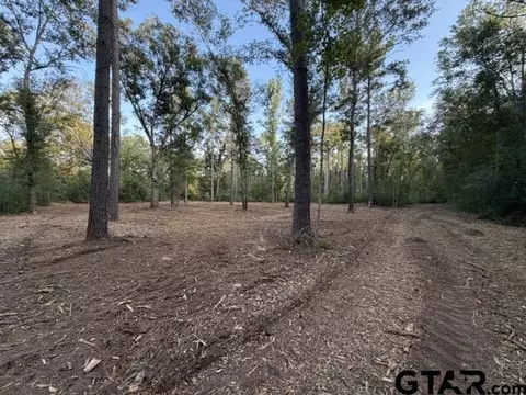 000 Loop Loop 343, Rusk, TX 75785 photo 26