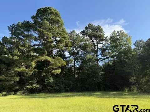 000 Loop Loop 343, Rusk, TX 75785 photo 46