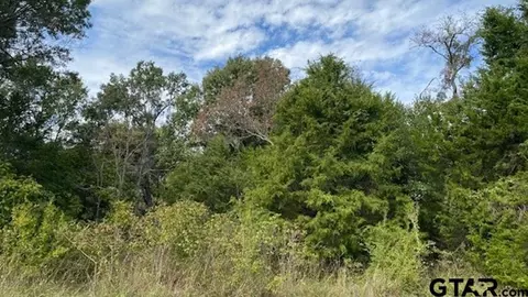 tbd Fm 2709, Eustace, TX 75124 photo 7