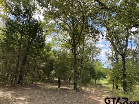 tbd Fm 2709, Eustace, TX 75124 photo 10