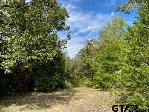 tbd Fm 2709, Eustace, TX 75124 photo 4