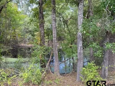 tbd Fm 2709, Eustace, TX 75124 photo 6