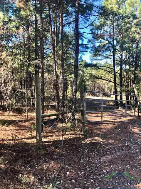 tbd Cr 3102, Winona, TX 75752