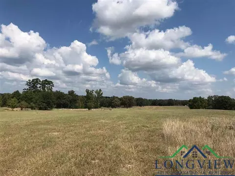 Tract 11 Fm 3358, Gilmer, TX 75645
