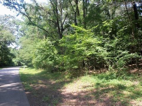 tbd Lot 8 Willow Springs Rd, Kilgore, TX 75662