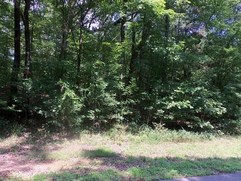 tbd Lot 9 Willow Springs Rd, Kilgore, TX 75662