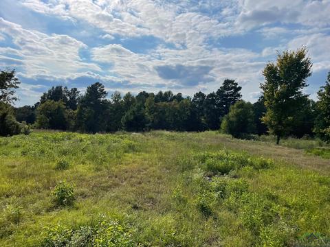 tbd 28 Ac North Point Pleasant Rd, Gladewater, TX 75647