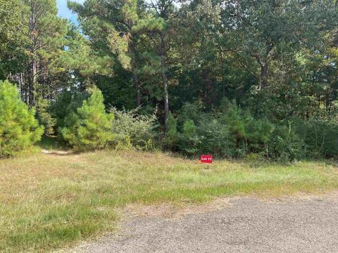 tbd Lot 17 Cr 2204 D Fm 1797, Tatum, TX 75691