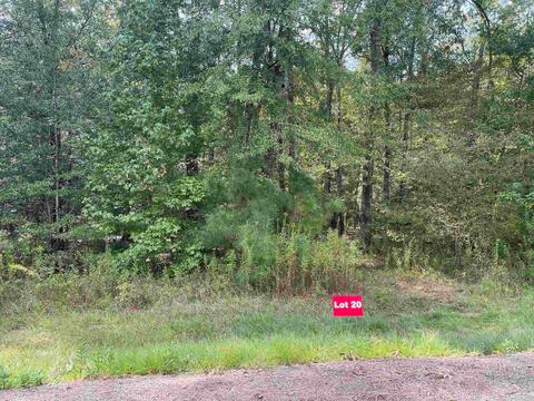 tbd Lot 20 Cr 2204 D Fm 1797, Tatum, TX 75691