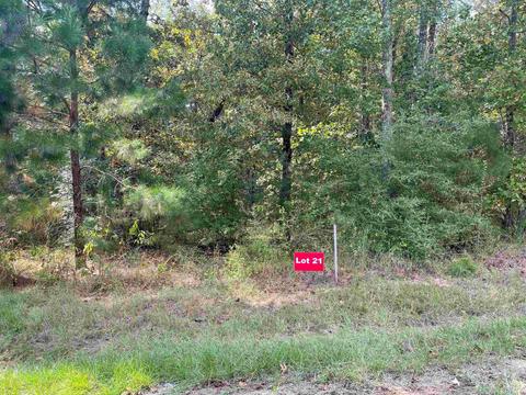 tbd Lot 21 Cr 2204 D Fm 1797, Tatum, TX 75691
