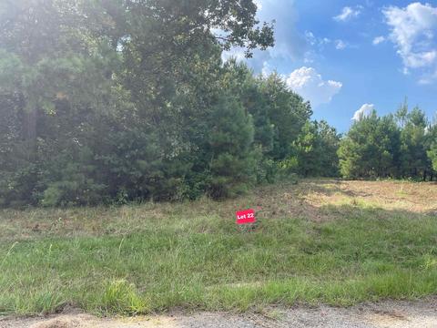 tbd Lot 22 Cr 2204 D Fm 1797, Tatum, TX 75691