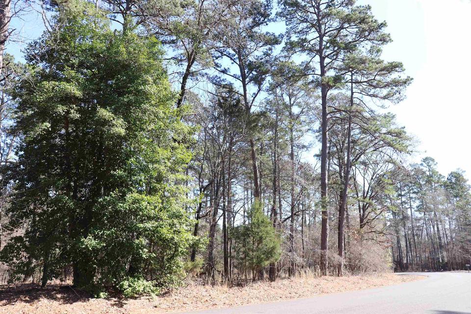 Tbd Shadowood Dr., Marshall, TX 75672 11 Photos MLS 20220773 Movoto