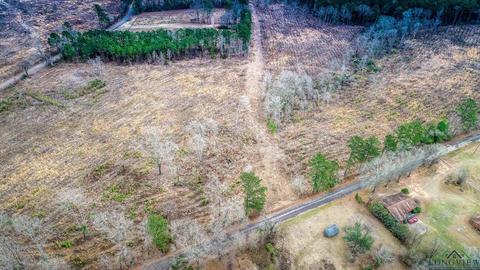 lot1 Davidson Rd, Diana, TX 75601