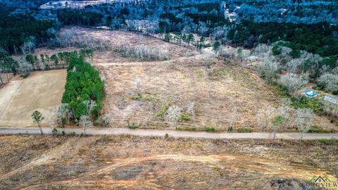 lot4 Davidson Rd, Diana, TX 75601