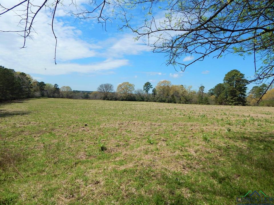 Tbd S Fm 1002, Big Sandy, TX 75755 31 Photos MLS 20221933 Movoto