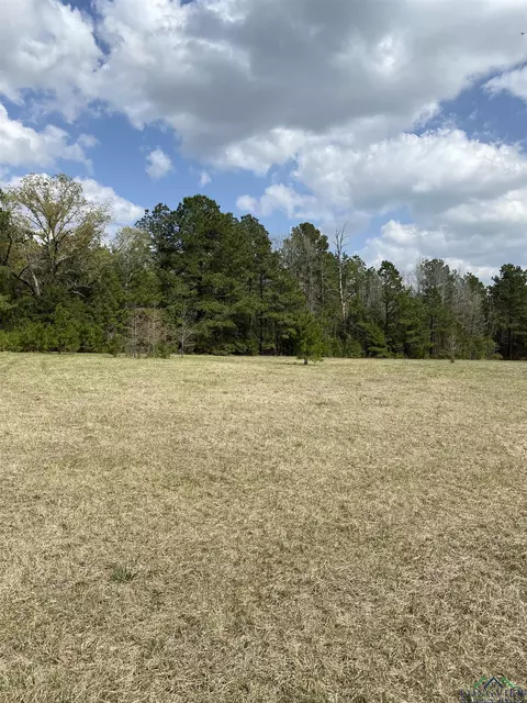 tbd Sycamore Rd E, Big Sandy, TX 75755