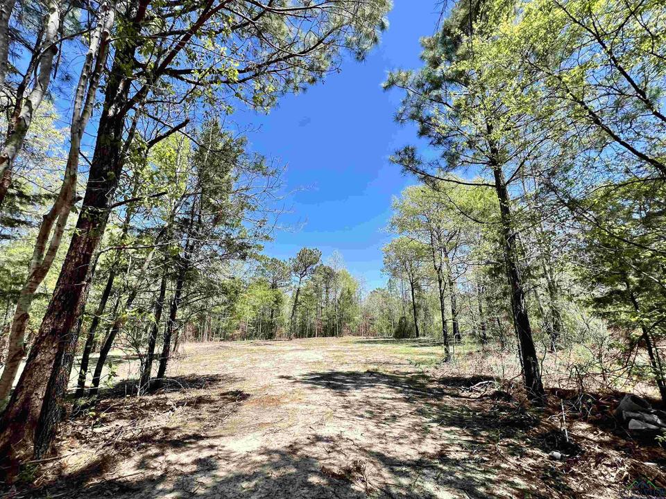 Tbd County Road 1754, Linden, TX 75563 13 Photos MLS 20222057 Movoto