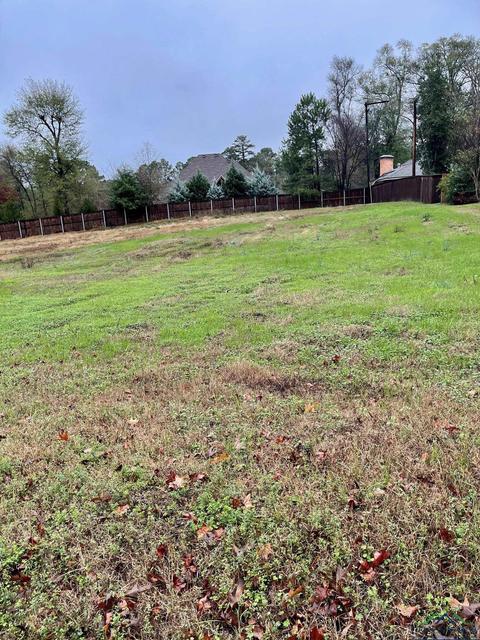 25 Pegues Pl, Longview, TX 75601 photo 1