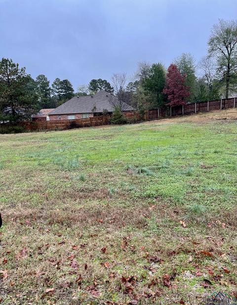29 Pegues Pl, Longview, TX 75601 photo 1