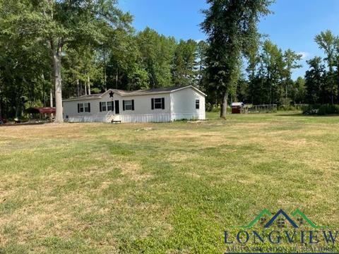 551 Edmondson Rd, Harleton, TX 75651 photo 1