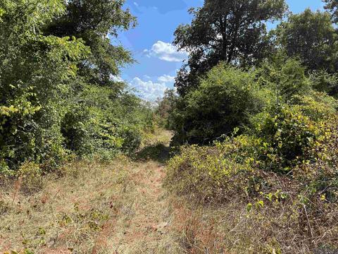 tbd Fm 2208, Harleton, TX 75651 photo 2