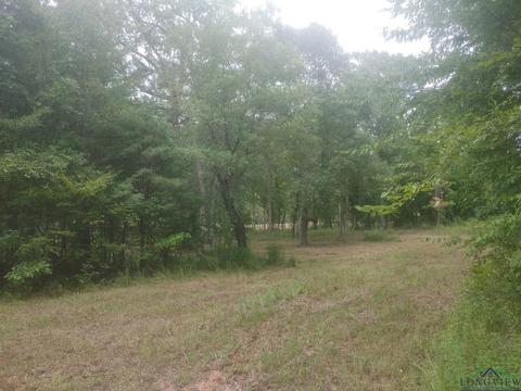 1209 Jackson Rd, Harleton, TX 75651 photo 1