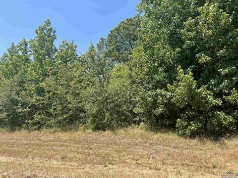 Tbd Fm 3042, Pittsburg, TX 75686