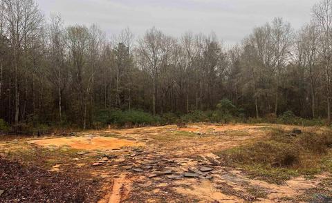 1066 Driskell Bridge Rd, Harleton, TX 75651 photo 1