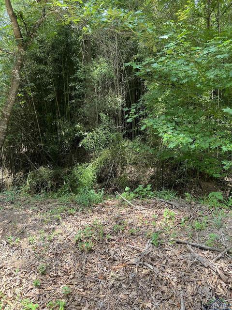 Tbd Cr 4130, Mount Vernon, TX 75457