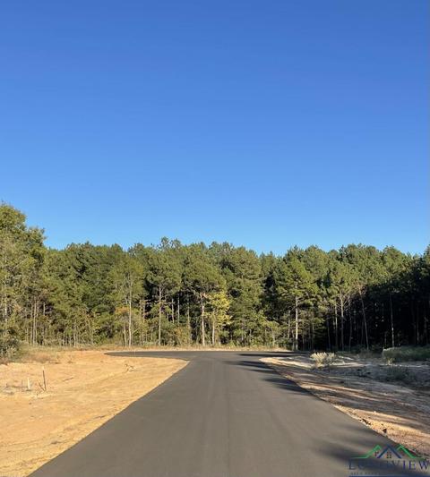 tbd Lot 20 Stonebrook Ct, New Diana, TX 75640